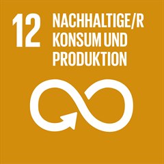 Sustainable Development Goal 12