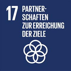 Sustainable Development Goal 17